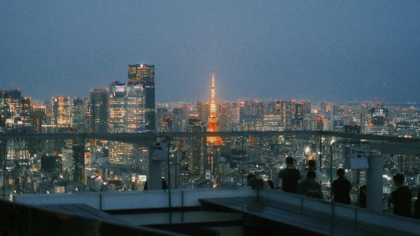 Tokyo observation decks at night